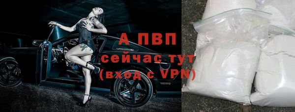 соль ск Новозыбков