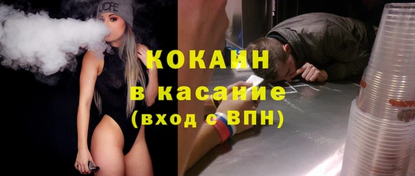 соль ск Новозыбков