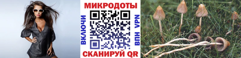 Галлюциногенные грибы Magic Shrooms  нарко площадка клад  Берёзовка 